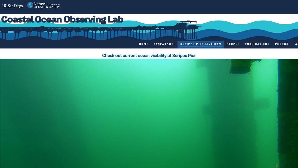 Scripps Pier underwater camera March 3 2026