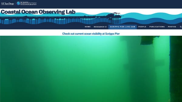 Scripps Pier underwater camera March 3 2026