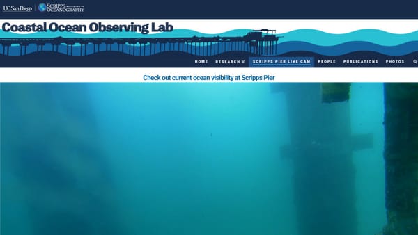 March 05, 2026 / Grade: C+